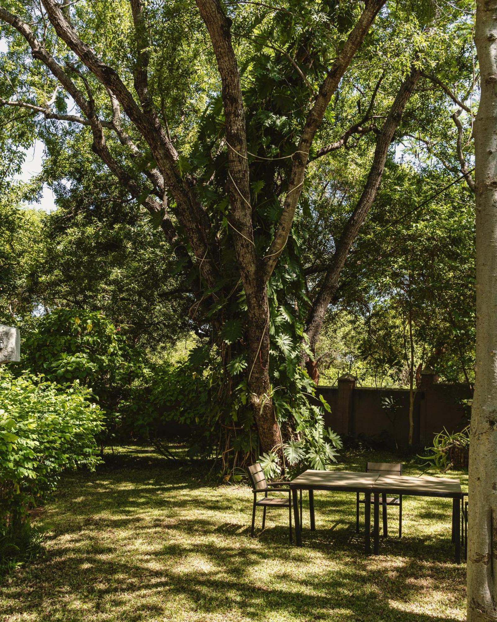Jacaranda Lodge วิกตอเรียฟอลส์ ภายนอก รูปภาพ