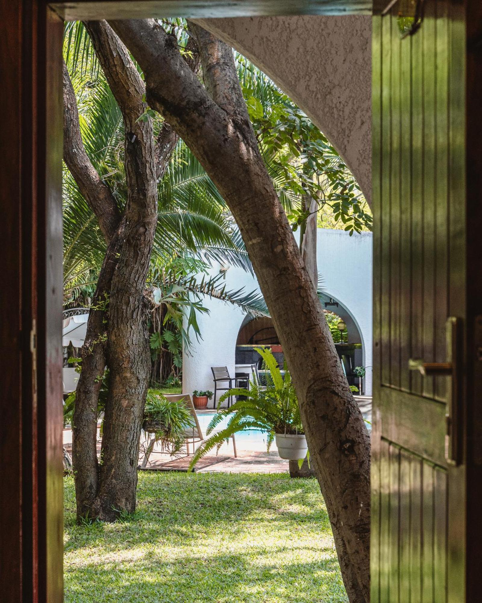 Jacaranda Lodge วิกตอเรียฟอลส์ ภายนอก รูปภาพ