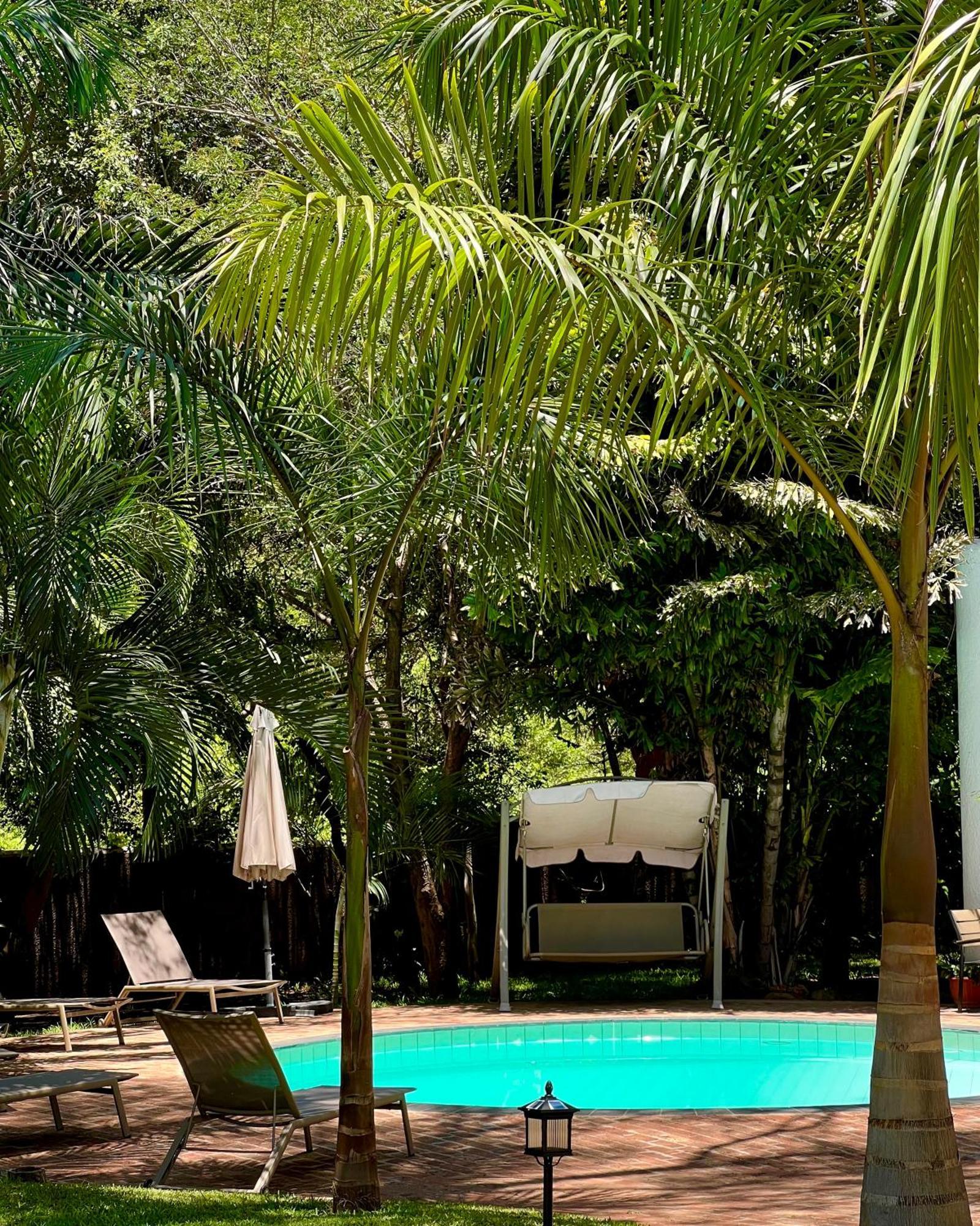Jacaranda Lodge วิกตอเรียฟอลส์ ภายนอก รูปภาพ